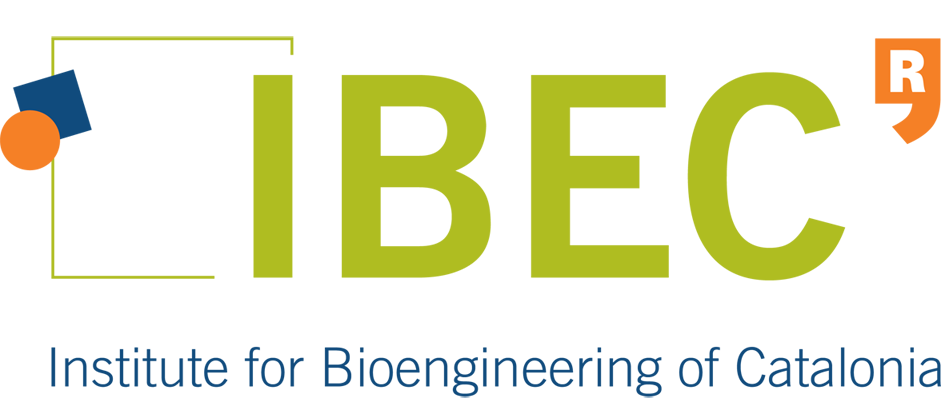 IBEC